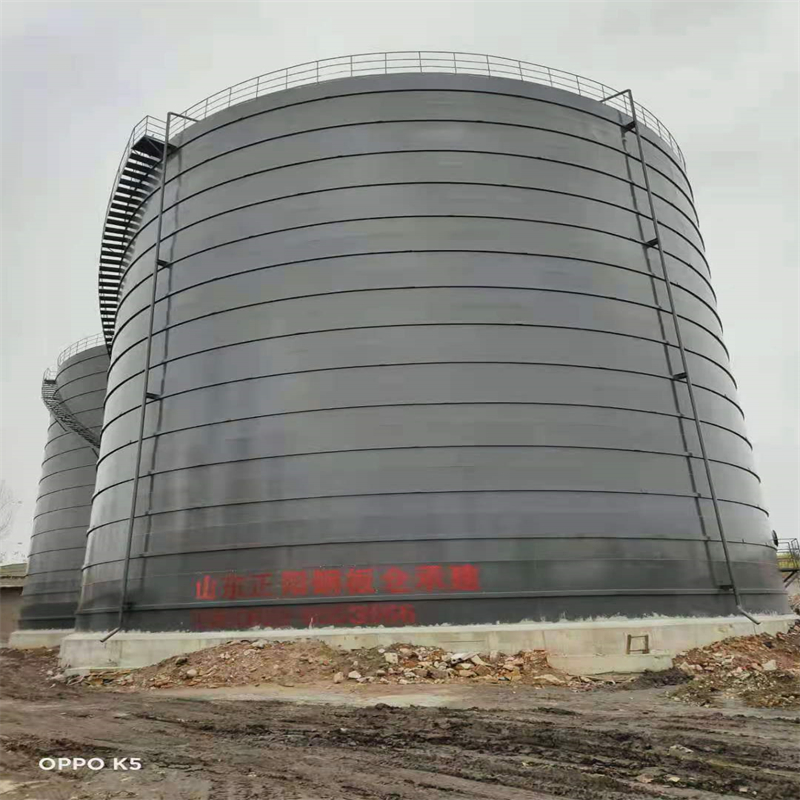 北流3万吨大型钢板库